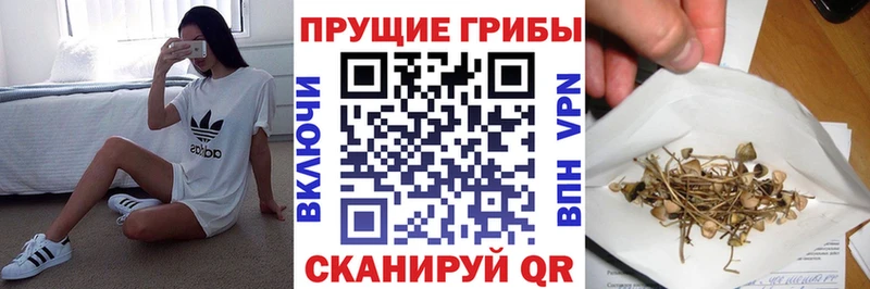 Купить закладки  Лесосибирск  Галлюциногенные грибы прущие грибы 